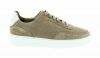 Rehab Sneaker Taylor Suede Perf taupe