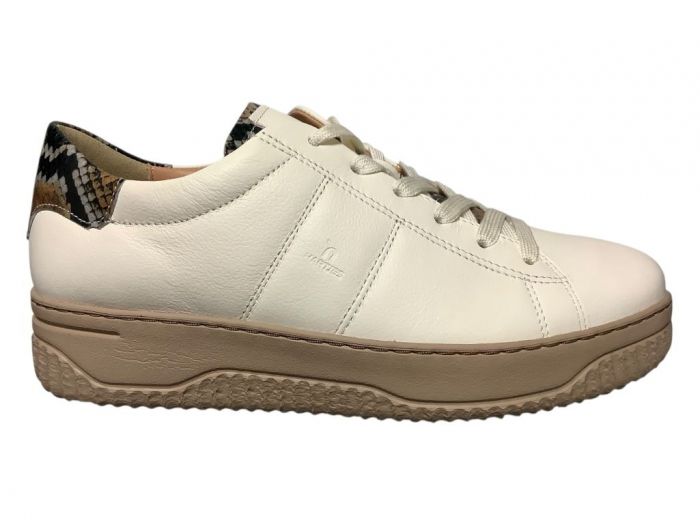 Hartjes Offwhite/Bruin Sneaker Boogie Shoe H
