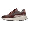 Xsensbile Stretchwalker Bordo Golden Gate Lady GX