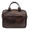 Bear Design CL32815 Brown Hugo
