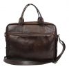 Bear Design CL32815 Brown Hugo