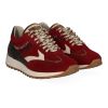 Piedi Nudi Sneakers Harlem Bordeaux