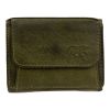 Bear Design Green Nana CP4102