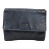 Bear Design Blue CL14618