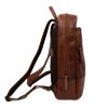 Bear Design Cognac AD40052