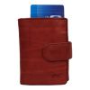 Bear Design Rood CL15689