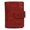 Bear Design Rood CL15689