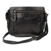 Bear Design Black Miley CL41707
