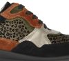 Waldlaufer Sneaker Multicolour 760002 500 371 H