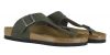 Birkenstock Slipper Ramses Groen 1012024