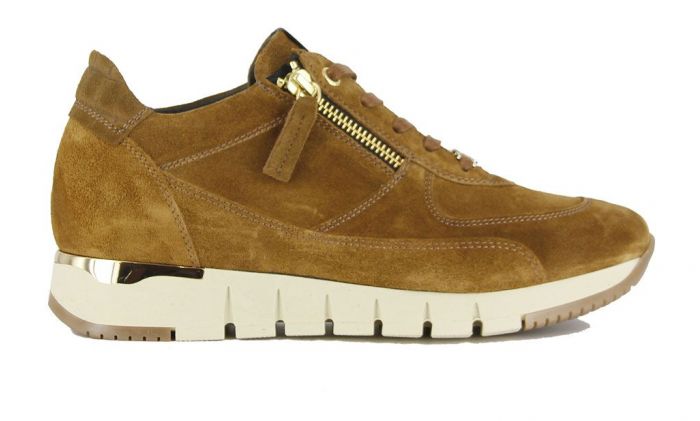 DL Sport Sneaker Cognac 4826-03