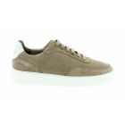Rehab Sneaker Taylor Suede Perf Taupe