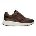 Xsensible Stretchwalker Brons Golden Gate Lady GX