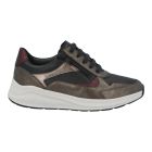 Solidus Metallic Multi Sneaker Kitty K