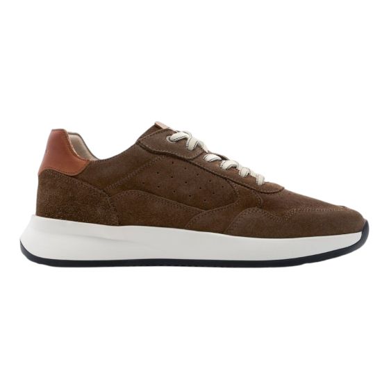 Ambitious Sneakers D.Taupe Ronnie