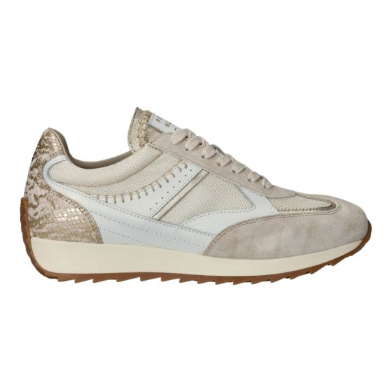 Piedi Nudi Sneakers Creme Goud Harlem