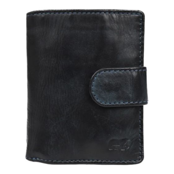 Bear Design Blauw CL15689