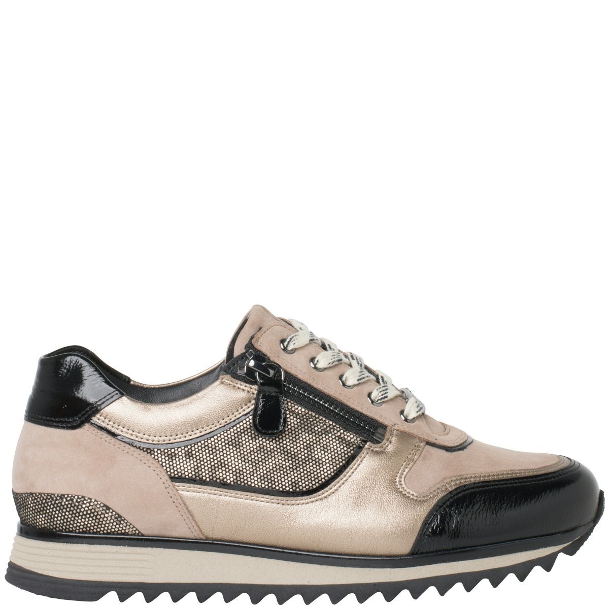Hassia Sneaker Porto Taupe Zwart 302031 H Dames en Herenschoenen online kopen
