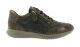 Hartjes Sneaker L.Taupe/Brons Breeze Shoe G