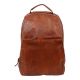 Bear Design Cognac CL44692